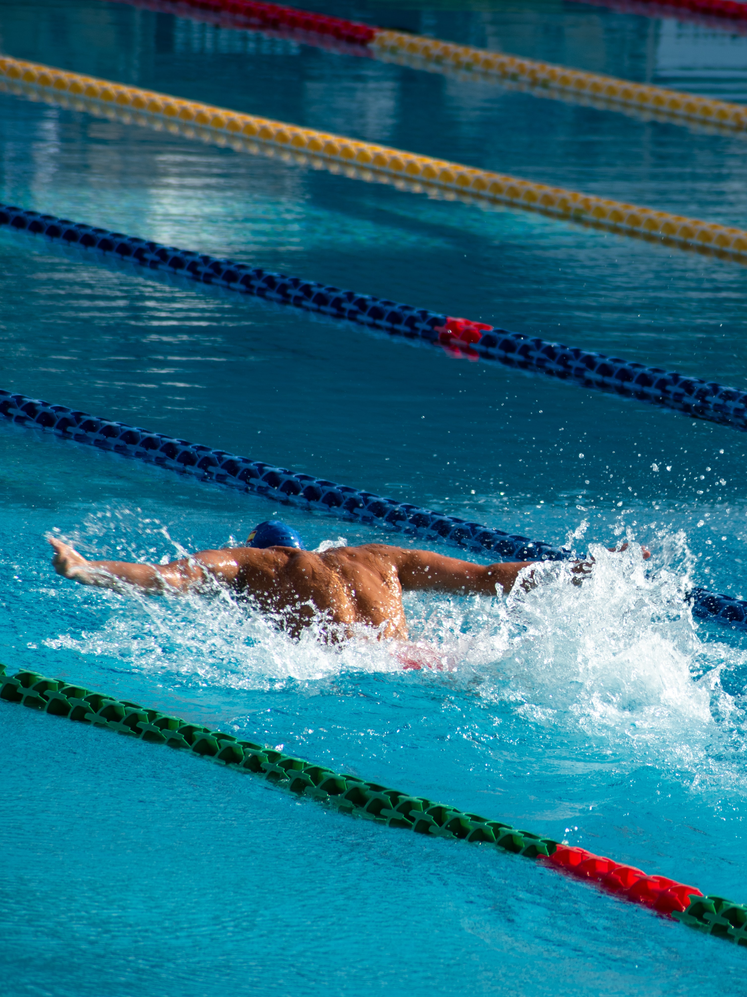 An athlete swimming the butterfly